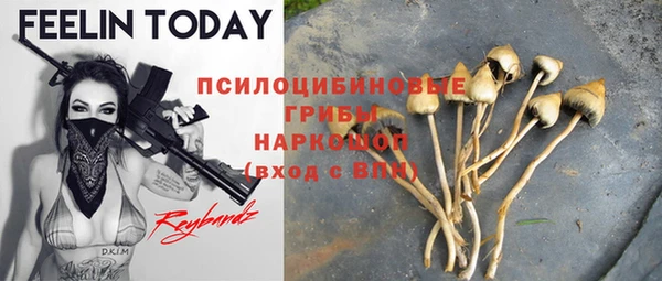дмт Липки