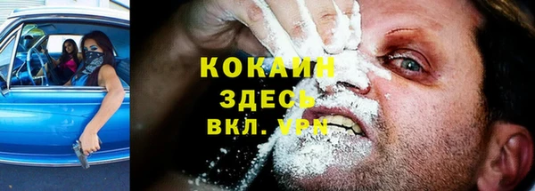таблы Лиски