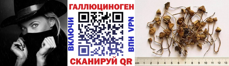 Галлюциногенные грибы Cubensis  цены наркотик  Мензелинск 